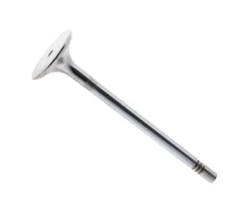 TRW Automotive Intake Valve 642-053-04-01