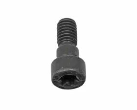 Genuine BMW Vanos Unit Fit Bolt 11-36-1-748-745