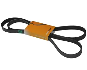 Continental Belt 6PK X 2020 93-181-720