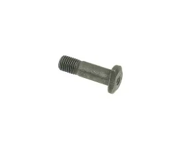 Febi Bilstein Valve Adjusting Bolt 11-33-1-744-355