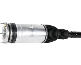 BWI Suspension Strut Assembly LR087094