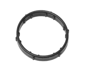 Eurospare Thermostat Gasket 4413478