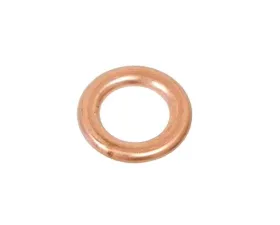 Fischer & Plath Seal Ring 007603-008403