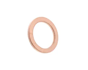 Victor Reinz Oil Drain Plug Seal 14X20X15CU