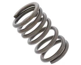 EMPI US Valve Spring 113-109-623 C