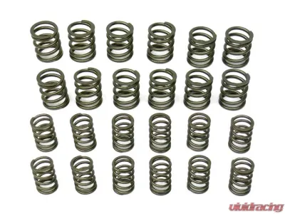 Aasco Valve Spring Set 901-105-901-50 HP - 901-105-901-50 HP