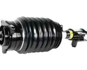 Arnott Industries Air Suspension Strut 212-320-34-38