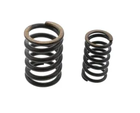 German Valve Spring Set 996-105-939-00