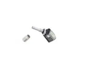 Schrader TPMS Sensor 13-354-312