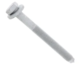 Rein Automotive Bolt N-906-259-02