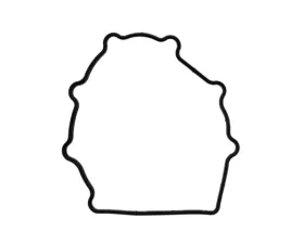 Victor Reinz Chain Cover Gasket 964-105-181-01
