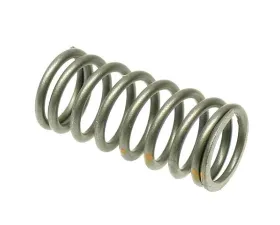 Genuine BMW Valve Spring 11-34-1-706-584