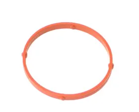 Victor Reinz Plenum Gasket 642-098-01-80