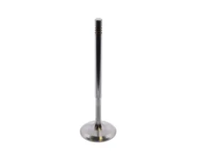 TRW Automotive Intake Valve 271-053-10-01