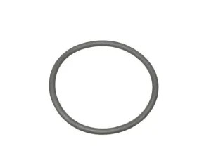 Genuine Porsche O-Ring 999-707-052-40