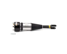 Arnott Industries Shock Absorber AS-2890