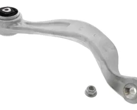 Delphi Control Arm 31-10-6-770-685