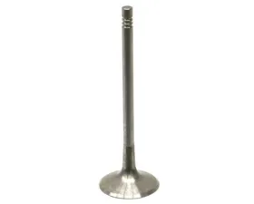 TRW Automotive Intake Valve 06D-109-601 M