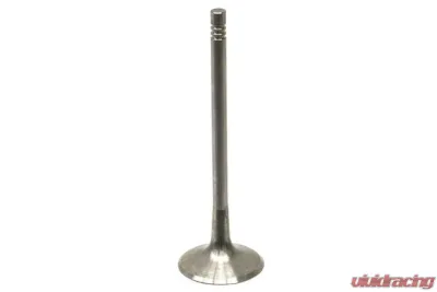 TRW Automotive Intake Valve 06D-109-601 M - 06D-109-601 M