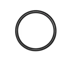 OEM O-Ring 999-707-115-40