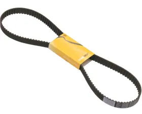 Continental Timing Belt 038-109-119 M
