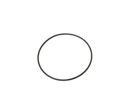 Victor Reinz Engine Oil Pump O-Ring 981204