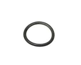 Genuine Audi | VW Thermostat Seal WHT-000-862