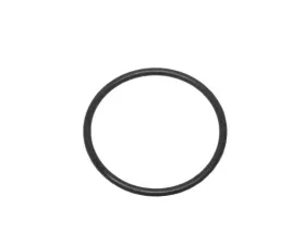 Victor Reinz Fuel Pump O-Ring WHT-005-184