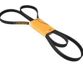 Continental Belt 6K X 2535 C2P12808