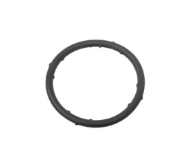 Victor Reinz Coolant Flange Seal 037-121-687