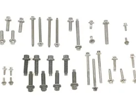 Genuine BMW Engine Bolt Kit 11-11-0-411-131