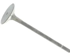 Eurospare Exhaust Valve 4646004