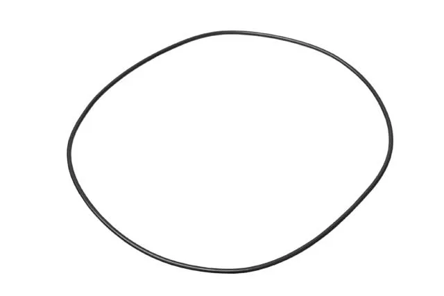 ZF O-Ring 21 8004 100 - 21 8004 100