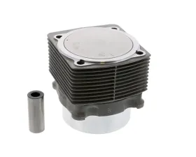 Mahle Piston and Cylinder 930-103-954-09