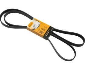 Continental Belt 05103564AB
