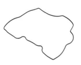 Victor Reinz Timing Cover Gasket 11-14-1-485-162