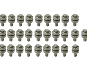 Rein Automotive Engine Oil Pan Bolt Kit 11-13-0-396-707