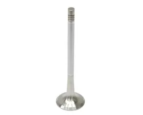 TRW Automotive Exhaust Valve 06D-109-611 H
