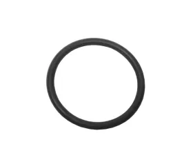 Victor Reinz O-Ring 91-29-999