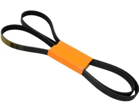 Continental Belt 6K X 2445 011-997-06-92