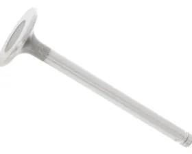 TRW Automotive Intake Valve 180-053-04-01