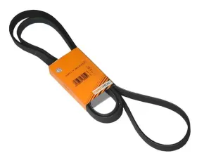 Continental Belt 6K X 2205 011-997-21-92