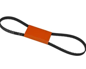 Continental Timing Belt 037-109-119 C