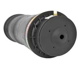 Arnott Industries Suspension Air Bag 166-320-03-25