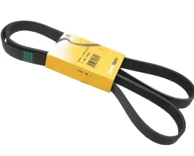 Continental Belt 7K X 1855 11-28-7-628-652