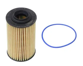 Hengst Automotive Oil Filter Kit 93-186-310
