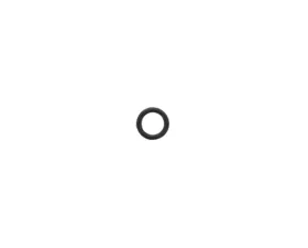 Victor Reinz O-Ring 11-43-7-794-698