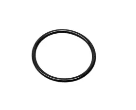 German O-Ring 955-325-443-00