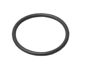 German O-Ring 999-707-364-41