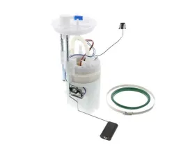 Delphi Fuel Pump Assembly 16-11-7-207-599